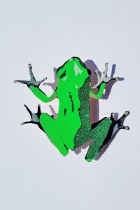 AW-Frosch00006