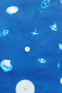 AW_Cyano0001